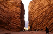Cafayate full-day excursion with wine tasting from Salta