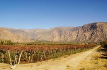 Cafayate full-day excursion with wine tasting from Salta