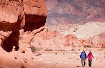 Cafayate full-day excursion with wine tasting from Salta
