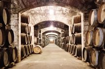Tour of a Historic Distillery in Palma with Three Spirits and Tapas