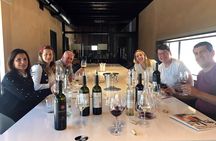 Mendoza Vineyards Tour with Wine Tasting