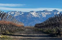 Mendoza Vineyards Tour with Wine Tasting
