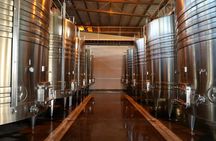 Mendoza Vineyards Tour with Wine Tasting