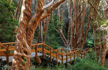 Sail to Victoria Island and Arrayan Forest from Bariloche