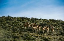 Villavicencio half-day tour from Mendoza