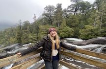 Puerto Blest and Cántaros Waterfalls adventure