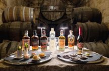 Tour of a Historic Distillery in Palma with Six Spirits and Tapas