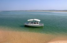 Birdwatching in Ria Formosa eco-friendly boat tour