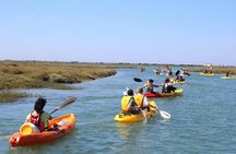 Ria Formosa guided kayak tour from Faro