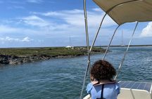 Algarve eco-friendly solar boat trip in Ria Formosa from Faro