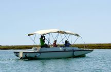 Algarve eco-friendly solar boat trip in Ria Formosa from Faro