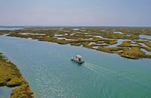 Algarve eco-friendly solar boat trip in Ria Formosa from Faro