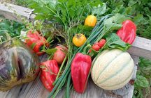 4-Hour Sustainable Farm Tour in South Heraklion