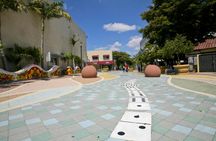 Miami city tour