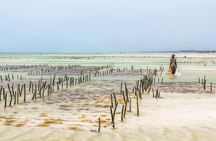 Private Tour to Explore People and Culture from The Mora Zanzibar