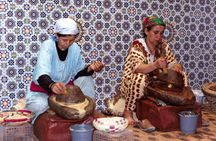 Full Day Economic Tour of Tiout and Taroudant with Lunch from Agadir