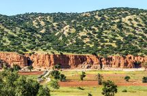 Full Day Economic Tiout and Taroudant Tour with Lunch from Taghazout