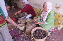 Full Day Economic Tiout and Taroudant Tour with Lunch from Taghazout