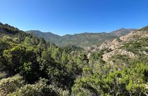 San Teodoro Canyoning in Rio Pitrisconi with 4X4 Transfer