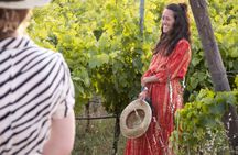 Vineyard Guided Tour and 7 Wine Tasting in Palau