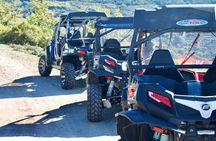 Buggy Tour From Aritzo