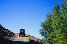Buggy Tour From Aritzo