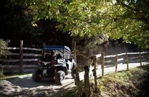 Buggy Tour From Aritzo