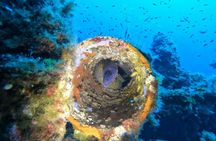 Beginners Scuba Diving in Calamosca