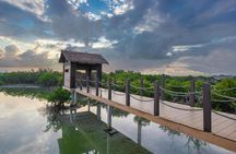 Mangrove 1-Hour Private Kayaking in Al Thakira Reserve