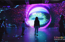Tickets to Illuminarium Las Vegas