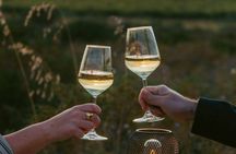 Vineyard with Wine Tasting at Sunset from Castelsardo