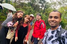Tokyo Bus Tour to Kamakura Great Buddha and Enoshima with Pickup