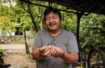 Full-Day Tour to Izamal and Kimbilá With the Maya Train