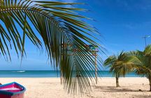 Full-Day Celestun and Pink Flamingo Sanctuary Excursion