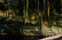 Half-Day Three-Cenote Tour to Cascabel, Chacsinkín and Xooch'
