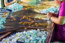 Mekong Delta, My Tho and Coconout Village Tour from Ho Chi Minh