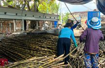 Full Day Countryside and Cultural Exploration of Hoi An's South