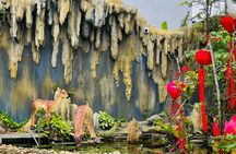 Full Day Countryside and Cultural Exploration of Hoi An's South
