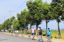Tra Que Village half-day tour from Hoi An