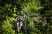 Zip Line Adventure in Anton Valley