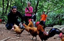 Salto do Prego and Sanguinho full-day hiking tour