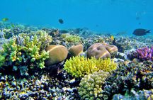 Discover Magawish Island with snorkeling cruise and lunch in Hurghada