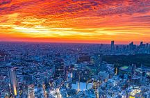 Shibuya Sky Observatory Entrance Ticket