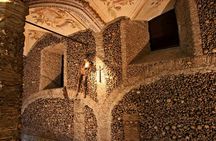 Évora full day tour with olive oil tasting