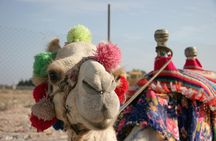 Sand Buggy Evening Experience with Dinner and Show in Hurghada Desert