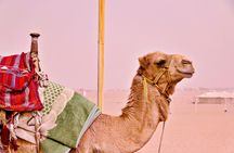 Desert Safari on a Quad Bike and 4x4 Jeep with Dinner in Hurghada