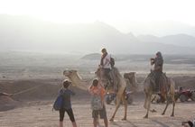 Desert Safari on a Quad Bike and 4x4 Jeep with Dinner in Hurghada
