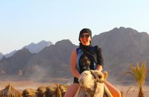 Desert Safari on a Quad Bike and 4x4 Jeep with Dinner in Hurghada