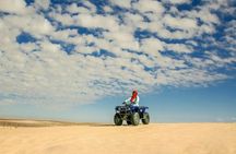 Desert safari by quad bike and 4x4 with Bedouin village dinner