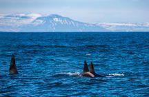 Self-Guided Driving Audio Tour of Snæfellsnes Peninsula
